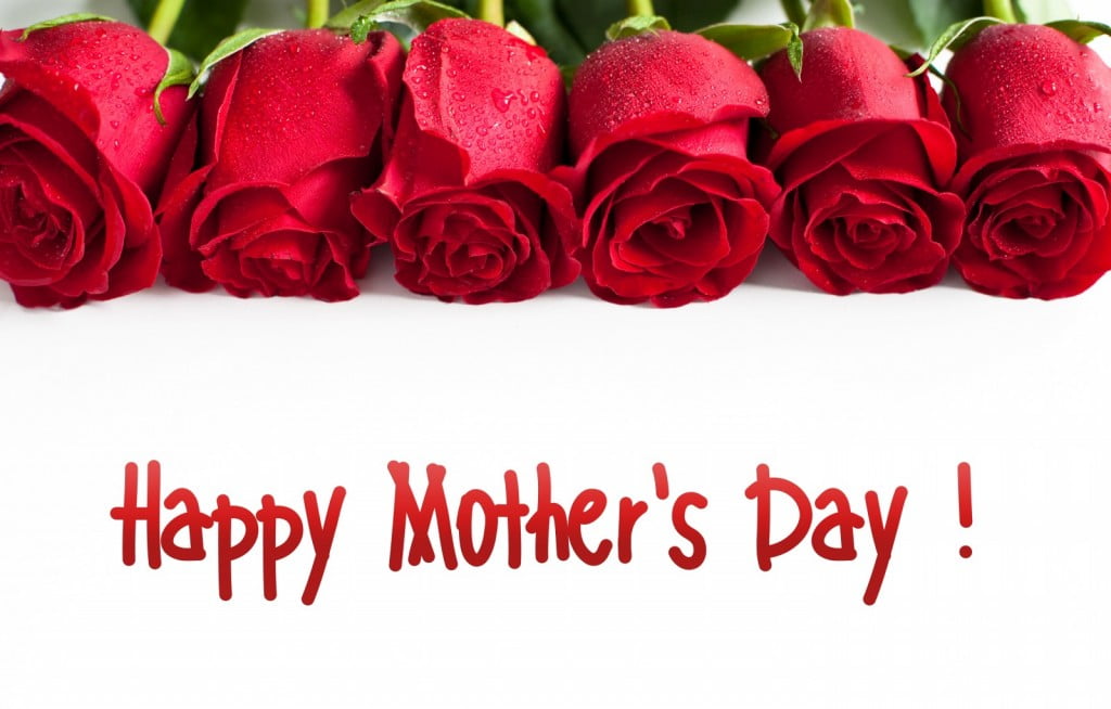 Sentence-Happy-Mothers-Day-with-Red-roses